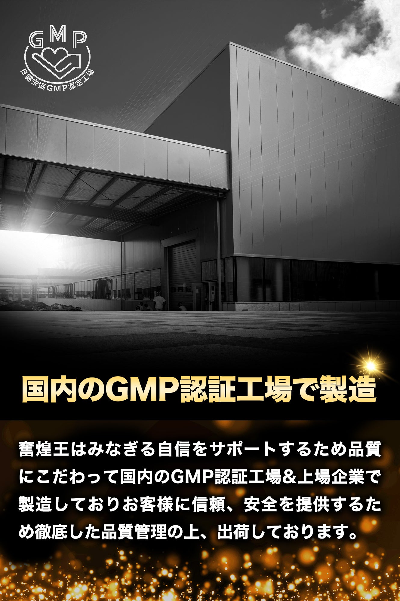 マカ 100,000mg サプリ 亜鉛 シトルリン アルギニン ペルー産 濃縮有機マカ 厳選133種 60粒 奮煌王