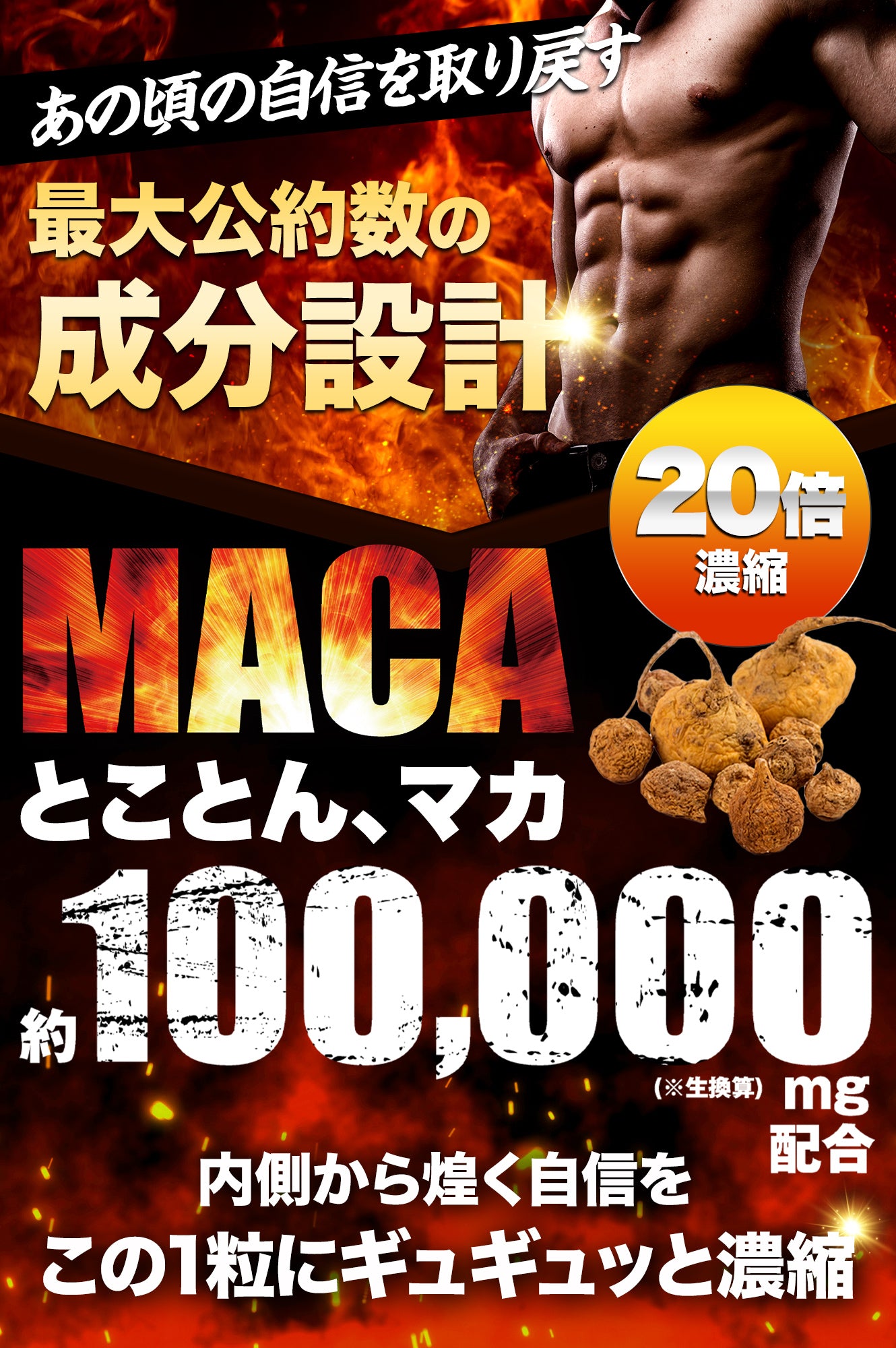 マカ 100,000mg サプリ 亜鉛 シトルリン アルギニン ペルー産 濃縮有機マカ 厳選133種 60粒 奮煌王