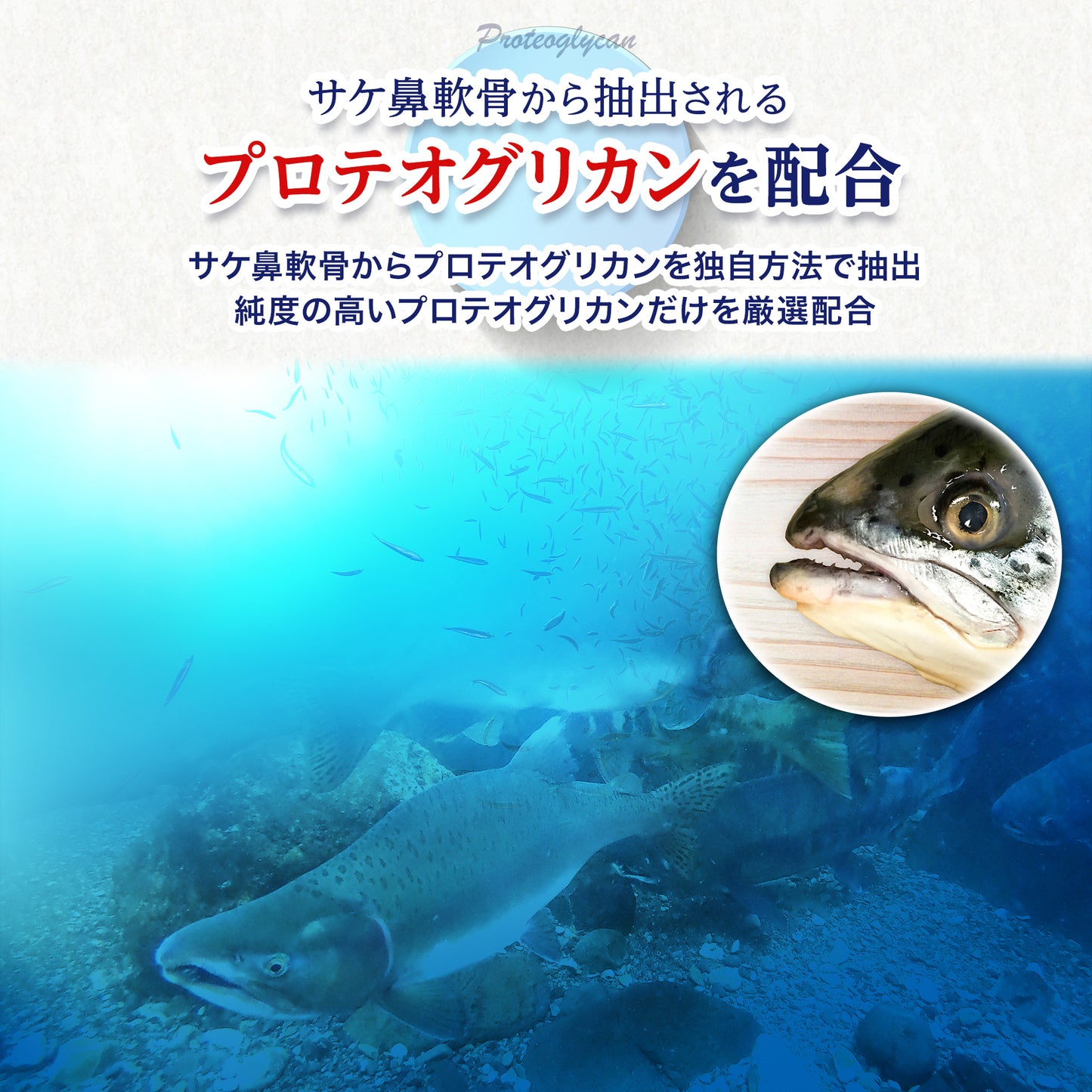 グルコサミン15000mg配合 120粒 コンドロイチン サケ鼻軟骨抽出物 ヒアルロン酸 サプリメント 健足生活 30日分