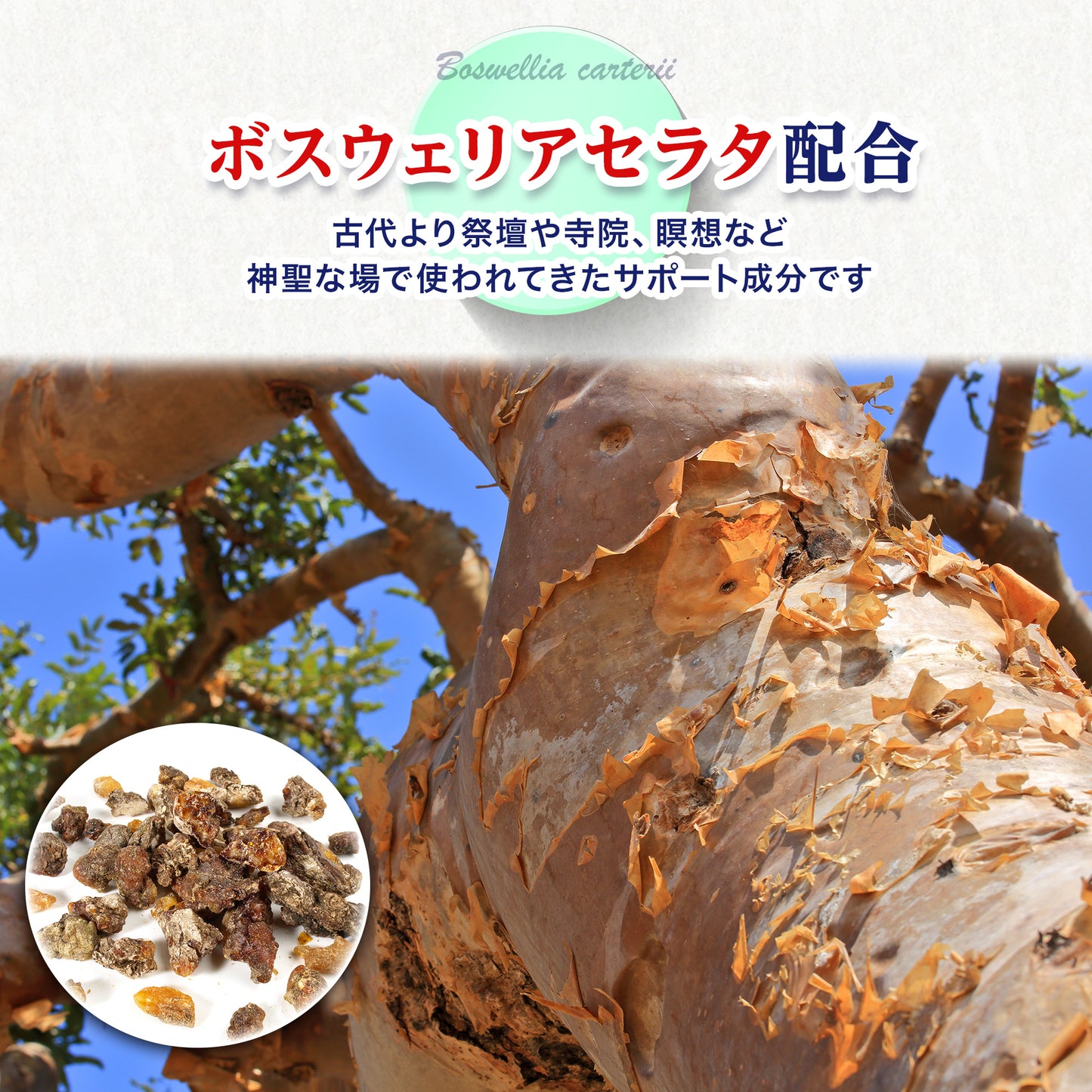 グルコサミン15000mg配合 120粒 コンドロイチン サケ鼻軟骨抽出物 ヒアルロン酸 サプリメント 健足生活 30日分